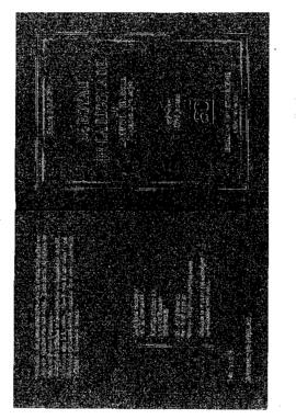 Pièce de théâtre, Jeunesse Palézieux, PIèce le boyau de la rigolade